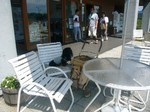 P1100877-814-2.JPG